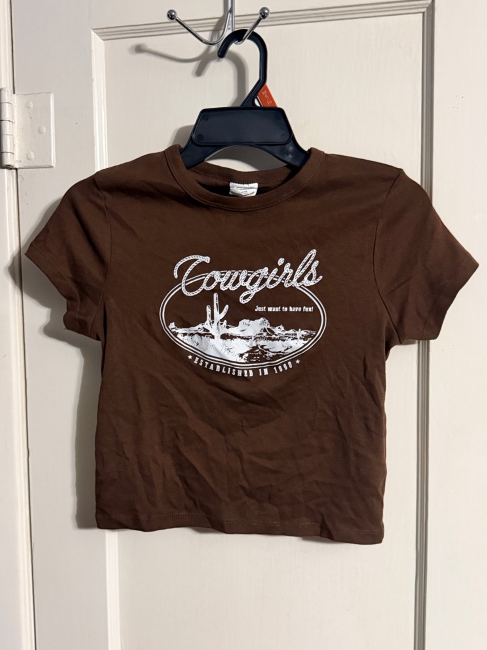 Streetwear Society Brown Cowgirls Graphic Crop Top